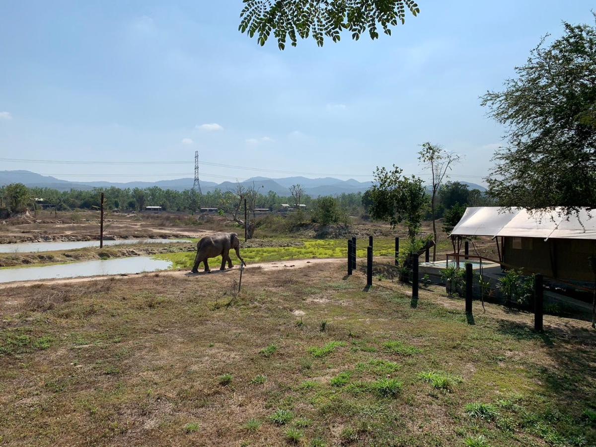 Elephant View Camp Ban Huai Thawai Exterior photo