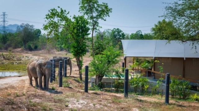 Elephant View Camp Ban Huai Thawai Exterior photo
