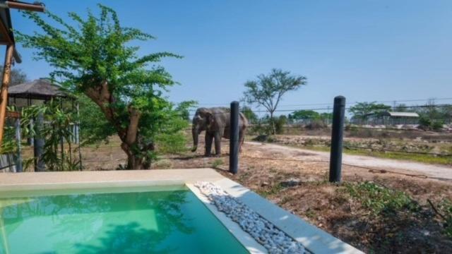 Elephant View Camp Ban Huai Thawai Exterior photo